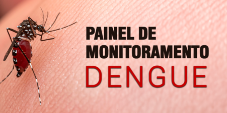 14/02/2024 ¿ Painel de Monitoramento da Dengue